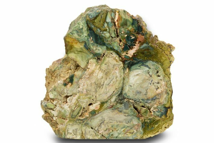 Free-Standing, Gary Green Jasper (Larsonite) Bog Wood - Oregon #334726